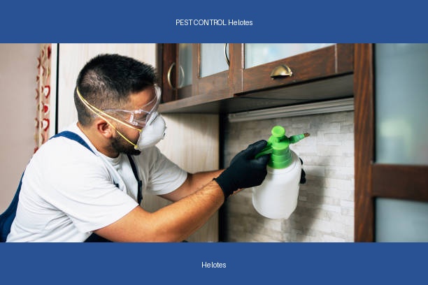 PEST CONTROL Helotes